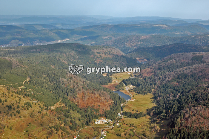 Vallée dans les Vosges avec reliefs érodés - gryphea.com